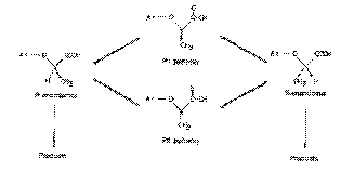 bus97f1.gif