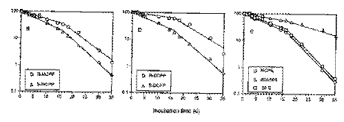 mul97f1.gif