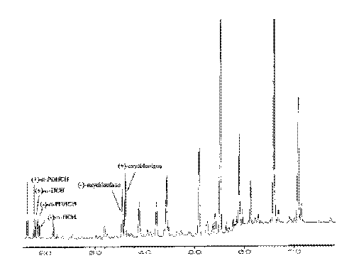 vet97f3.gif